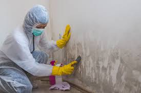 Estill Springs, TN Mold Removal Company